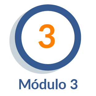 Módulo 3