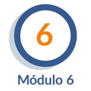 Módulo 6