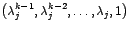 $\left( \lambda_{j}^{k-1},\lambda_{j}^{k-2},\ldots,\lambda_{j},1\right) $