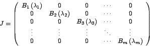 \begin{displaymath}
J=\left(
\begin{array}[c]{ccccc}%
B_{1}\left( \lambda_{1}...
...\cdots & B_{m}\left( \lambda_{m}\right)
\end{array}
\right)
\end{displaymath}