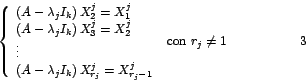 \begin{displaymath}
\left\{
\begin{array}[c]{l}%
\left( A-\lambda_{j}I_{k}\ri...
...
\end{array}
\right. \mbox{ con }r_{j}\neq1 \hspace{2cm}{3}%
\end{displaymath}