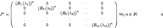 \begin{displaymath}
J^{n}=\left(
\begin{array}[c]{ccccc}%
\left( B_{1}\left( ...
...
\end{array}
\right) \forall n,n\in I\!\!N \hspace{2cm}{4}%
\end{displaymath}