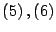 $ \left( 5\right) ,\left( 6\right) $